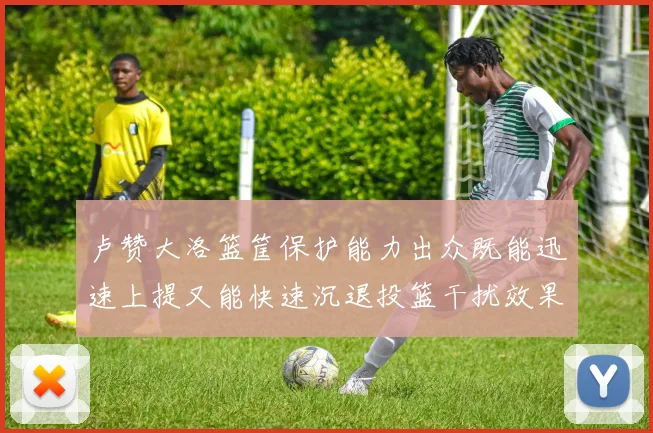 卢赞大洛篮筐保护能力出众既能迅速上提又能快速沉退投篮干扰效果显著