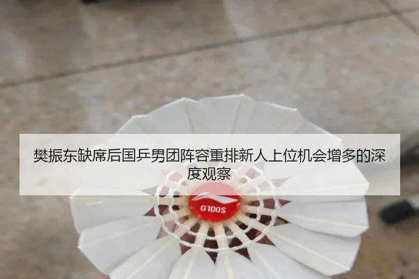 樊振东缺席后国乒男团阵容重排新人上位机会增多的深度观察（ZOSPORTS）